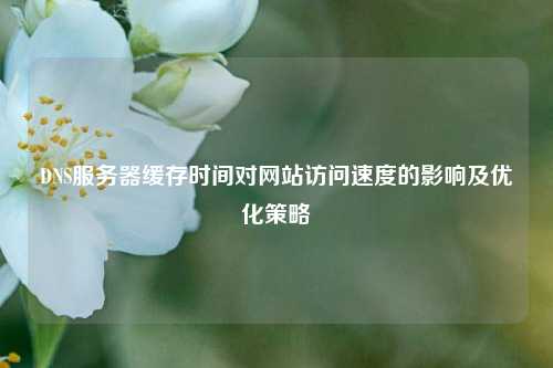 DNS服務(wù)器緩存時(shí)間對(duì)網(wǎng)站訪(fǎng)問(wèn)速度的影響及優(yōu)化策略
