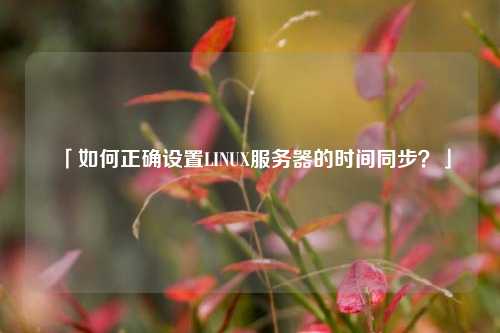 「如何正確設置LINUX服務器的時間同步？」