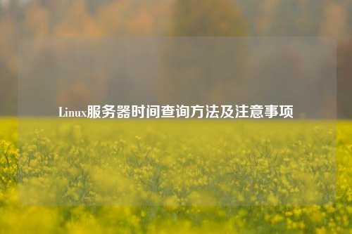 Linux服務(wù)器時間查詢方法及注意事項(xiàng)