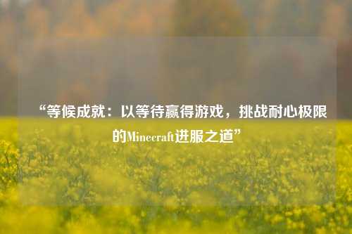 “等候成就：以等待贏得游戲，挑戰(zhàn)耐心極限的Minecraft進服之道”