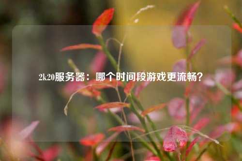 2k20服務(wù)器：哪個時間段游戲更流暢？