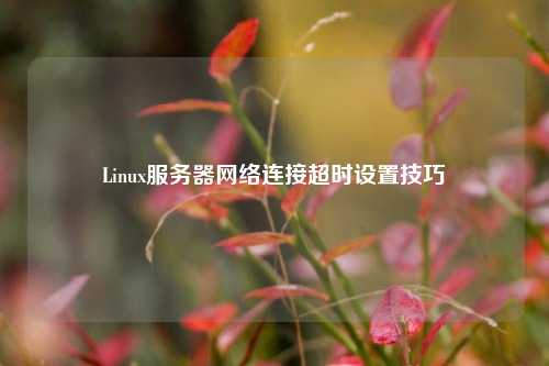 Linux服務器網(wǎng)絡連接超時設置技巧