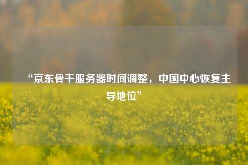 “京東骨干服務(wù)器時間調(diào)整，中國中心恢復(fù)主導(dǎo)地位”
