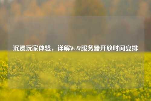 沉浸玩家體驗，詳解WoW服務器開放時間安排