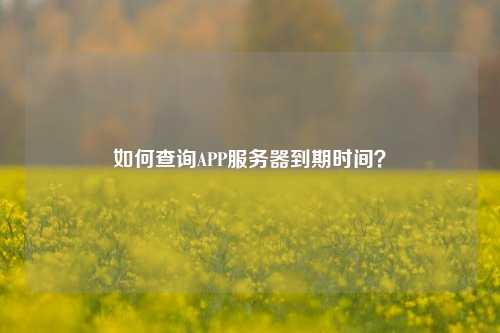 如何查詢APP服務器到期時間？