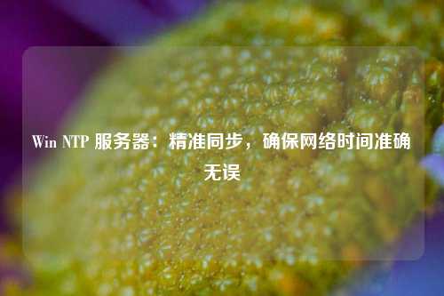 Win NTP 服務(wù)器：精準(zhǔn)同步，確保網(wǎng)絡(luò)時(shí)間準(zhǔn)確無(wú)誤