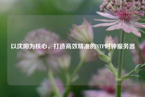 以沈陽為核心，打造高效精準(zhǔn)的NTP時鐘服務(wù)器