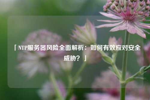 「NTP服務(wù)器風(fēng)險(xiǎn)全面解析：如何有效應(yīng)對(duì)安全威脅？」