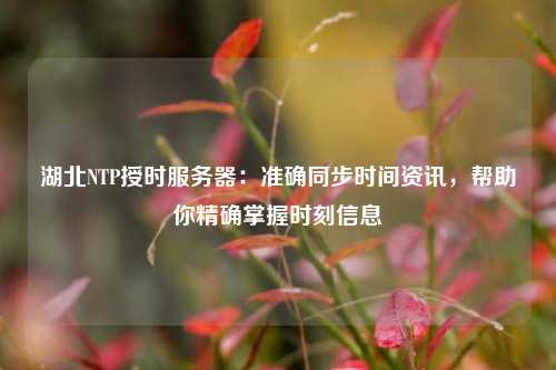 湖北NTP授時(shí)服務(wù)器：準(zhǔn)確同步時(shí)間資訊，幫助你精確掌握時(shí)刻信息