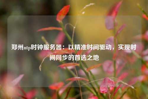 鄭州ntp時鐘服務器：以精準時間驅動，實現(xiàn)時間同步的首選之地